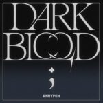 Dark Web Engine Search