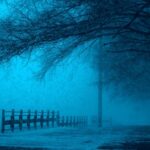 Dark Web Websites