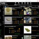 Best Darknet Market Reddit 2023