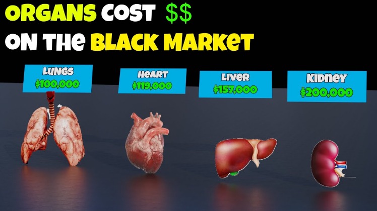 black market prices for drugs