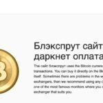 Darknet Market Bust