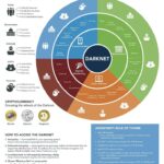 Darknet Drug Markets