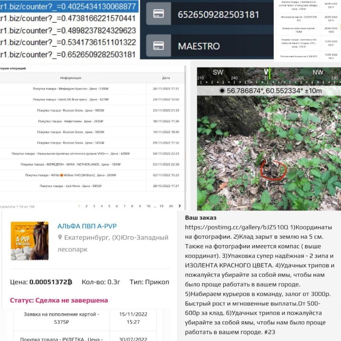 darknet drug markets