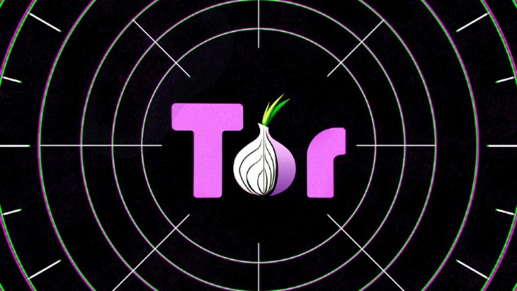 alpha market url