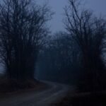 Dark Websites