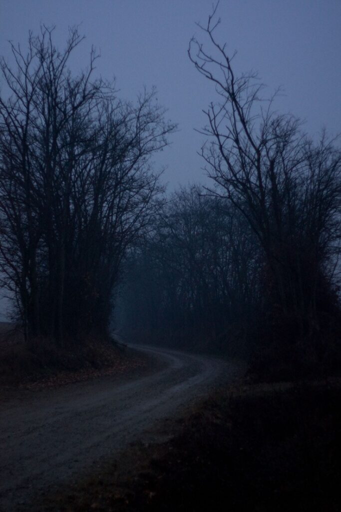 Dark Websites
