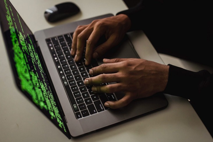 browse dark web