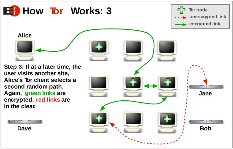 browse dark web