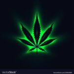 Cannabis Dark Web
