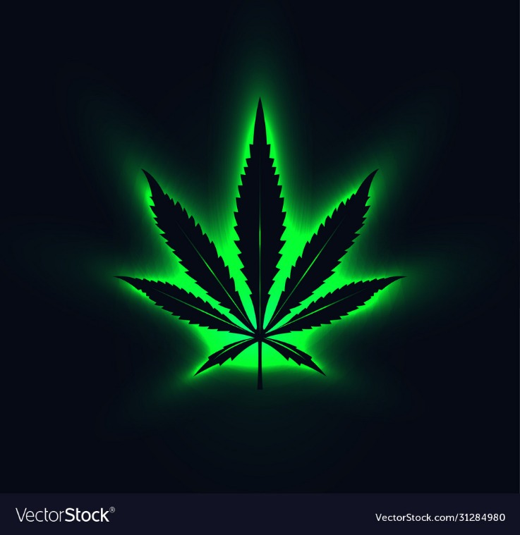 Cannabis Dark Web