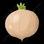 Ares Onion
