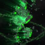 Dark Web Vendors