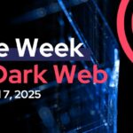 Access To The Dark Web