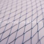 Black Market Net