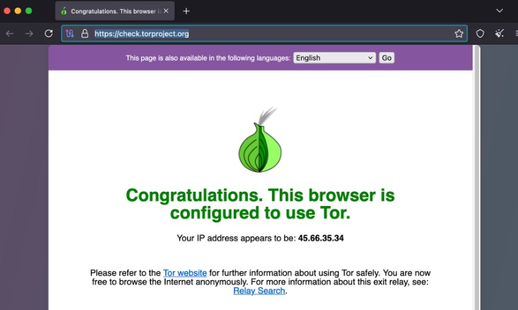 browsing the dark web