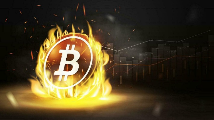 bitcoin dark web