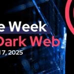 Dark Web Market Urls