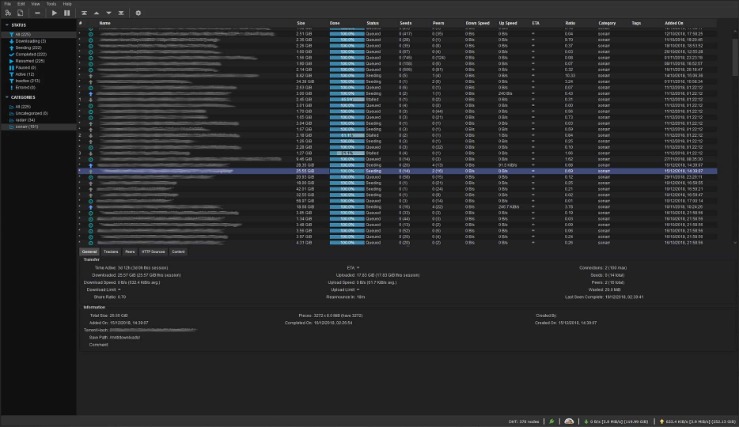 dark web porn link