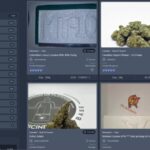 Biggest Darknet Market