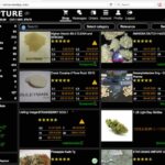 Best Dark Net Markets