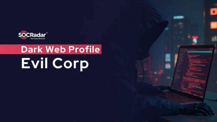 Dark Web Sex