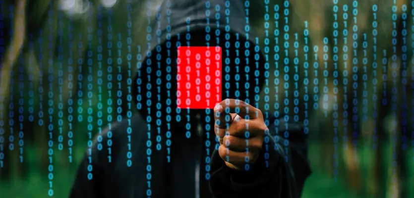 darknet market credit cards