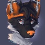 Darkfox Darknet Market